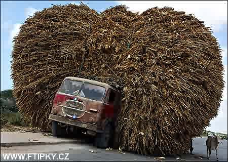 obrzek