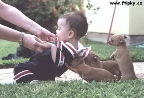 http://www.natvrdo.cz/admin/img.php?recid=2848&amp;table=obrazky&amp;sloupec=obrazek_mensi