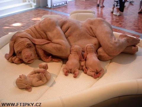 http://www.natvrdo.cz/admin/img.php?recid=4102&amp;table=obrazky&amp;sloupec=obrazek_mensi