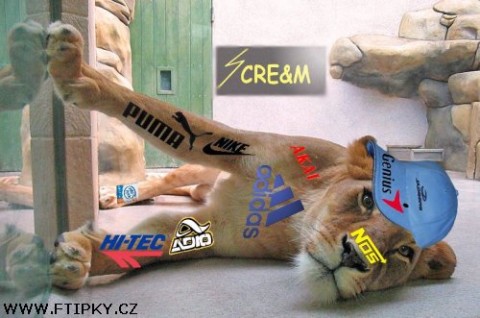 http://www.natvrdo.cz/admin/img.php?recid=4308&amp;table=obrazky&amp;sloupec=obrazek_mensi